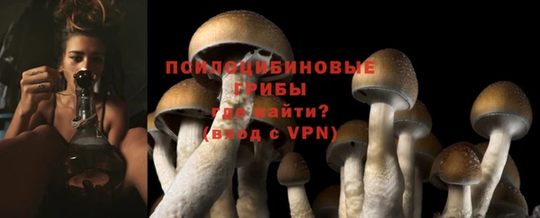 прущий лед Абдулино