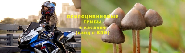дживик Алексин