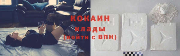 крисы Абаза