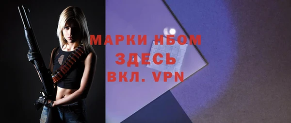 крисы Абаза