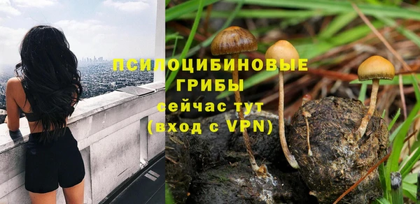 крисы Абаза