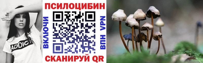 Псилоцибиновые грибы Cubensis  Карабаново 