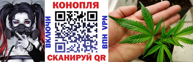 блэк спрут маркетплейс Карабаново Шишки марихуана MAZAR